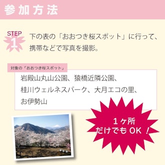 [Image2][Let's 🌸 get Sakura Festival original goods]In commemoration of the Otsuki Sakura Festival,From 3/23