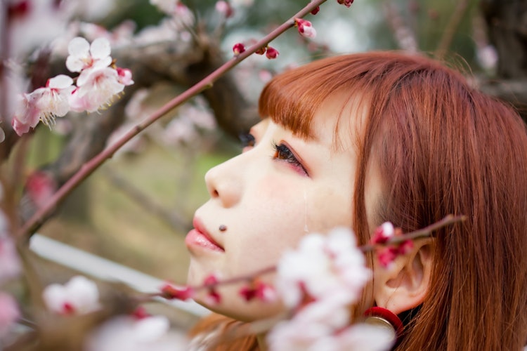 [相片1]泪水在梅花的美丽中溢出了我的眼睛。地点：鹤见绿地公园（大阪）