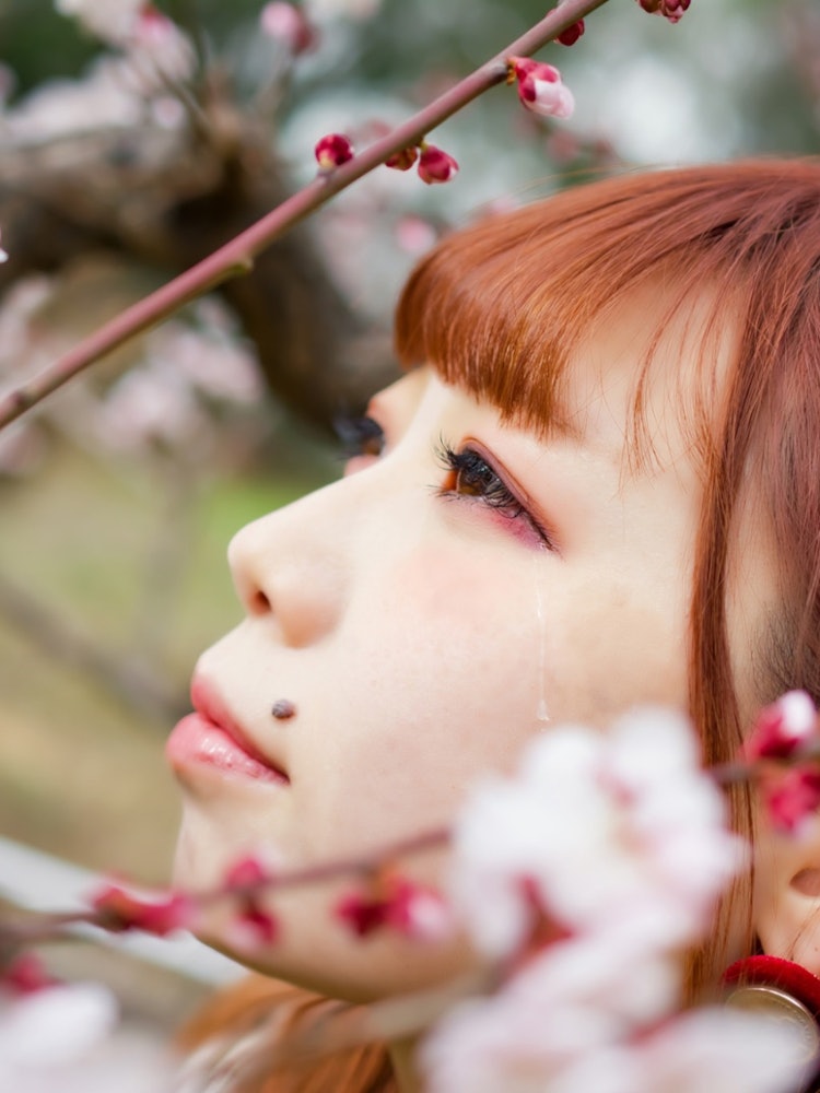 [Image1]Tears spilled over my eyes at the beauty of the plum blossoms.Location: Tsurumi Ryokuchi Park (Osaka