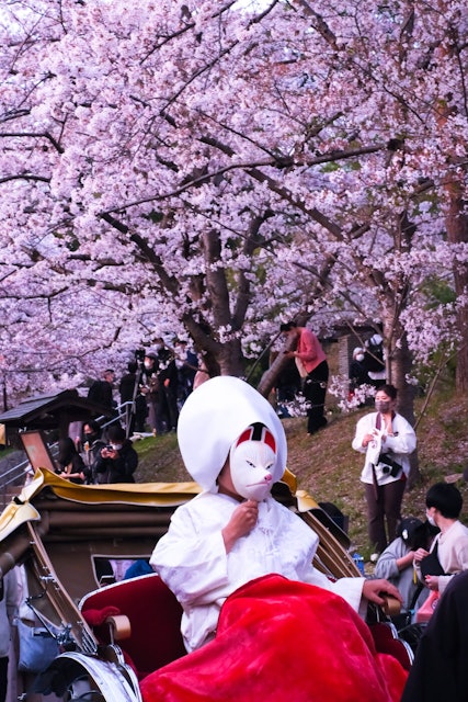 [画像1]日本の魅力と言えば、桜、京都など。 その京都で桜時期に行われるのが、高台寺の狐の嫁入り。 白無垢の花嫁が、狐のお面をかぶって、提灯行列をします。 なかなか興味深い行事です。