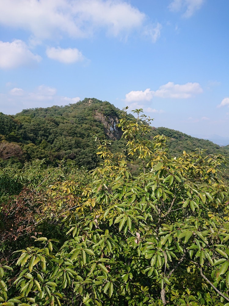 [相片1]这是足利市的大小山之一，天气很好，是最好的登山日！ 当时是十月下旬，树叶就要✨翻开了毕竟，我意识到日本拥有丰富的自然风光！