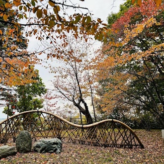 [画像1]10/15音更町の鈴蘭公園の様子です！ようやく冷え込んできたので、紅葉も進んでいました。