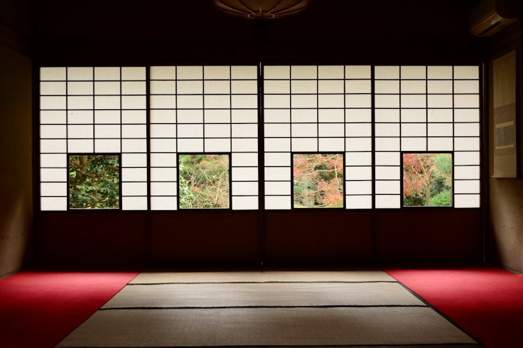 [画像1]京都の南にある泉涌寺の別院、雲龍院の角窓を切り取ってました。泉涌寺は格式が高く立派なお寺ですが、交通の便がやや悪いせいか、観光客が意外と少なく、穴場のお寺です。雲龍院は門を入ってから本堂に向かわず、右