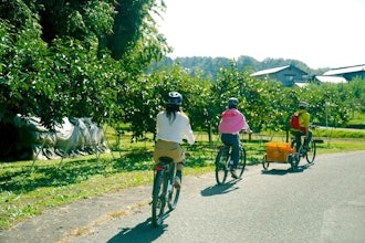 [Image1]■Cycling Guide Tour■~Fruit Sweets Plan~Harvest your own fruit for sweets! ~Smart plan for about 2 ho