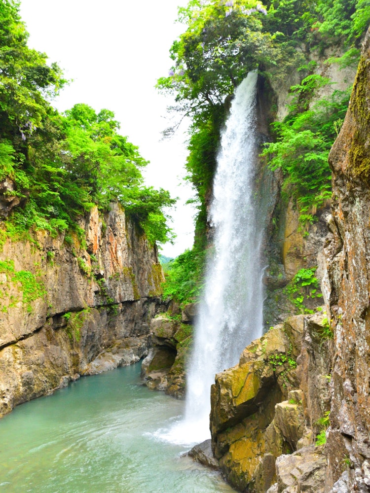 [画像1]📍石川県/綿ヶ滝とても有名という訳ではなさそうですが、とても綺麗な滝です！ 気持ちいいですよ！ この日は残念ながら青空ではありませんでした、、、