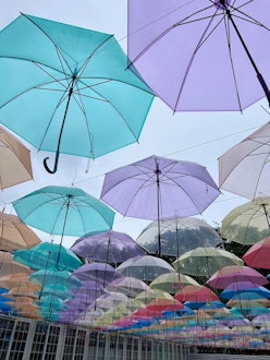 [Image1]Tokachi Hills' Umbrella Sky 🩵💙💜💛🧡🩷Hokkaido's largest colorful umbrella is hoisted overhead, and the 