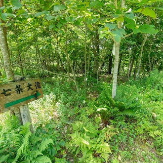 [Image1]Tomakomai City's unexplored area 