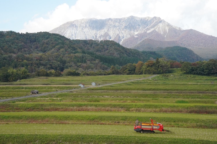 [相片1]在梯田裡，我正在拍攝秋天的隼山。梯田裡的稻穀豐收已經結束，謝謝大家的辛勤工作。