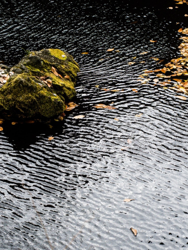 [이미지1]나리타 산에서 찍은 연못 사진입니다.Tamron 28-75mm 렌즈로 촬영했습니다.