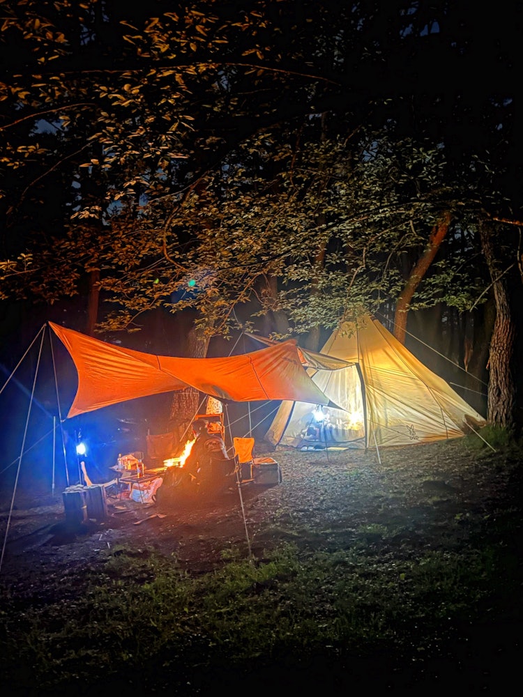 [画像1]山梨県の本栖湖キャンプ場にて林間サイトは静かで心がリラックスできるプラベート空間でした