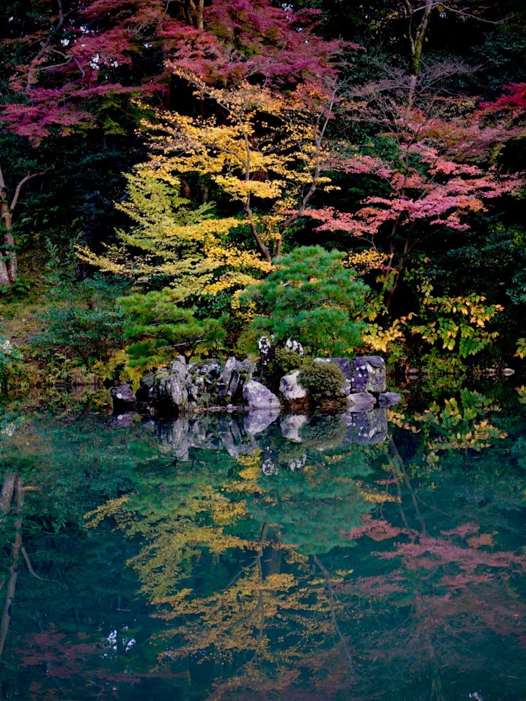 [相片1]秋天在一个著名的花园里。