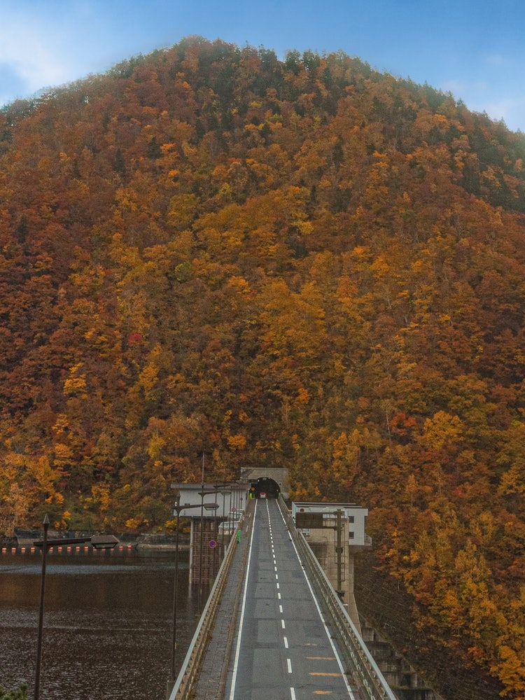 [画像1]北海道の札幌にある定山渓ダム市街地から少し距離はありますが全国からこの紅葉を観る為だけに多くの人が訪れる人気な場所です紅葉した山に進むこのトンネルはいつ見ても圧巻です