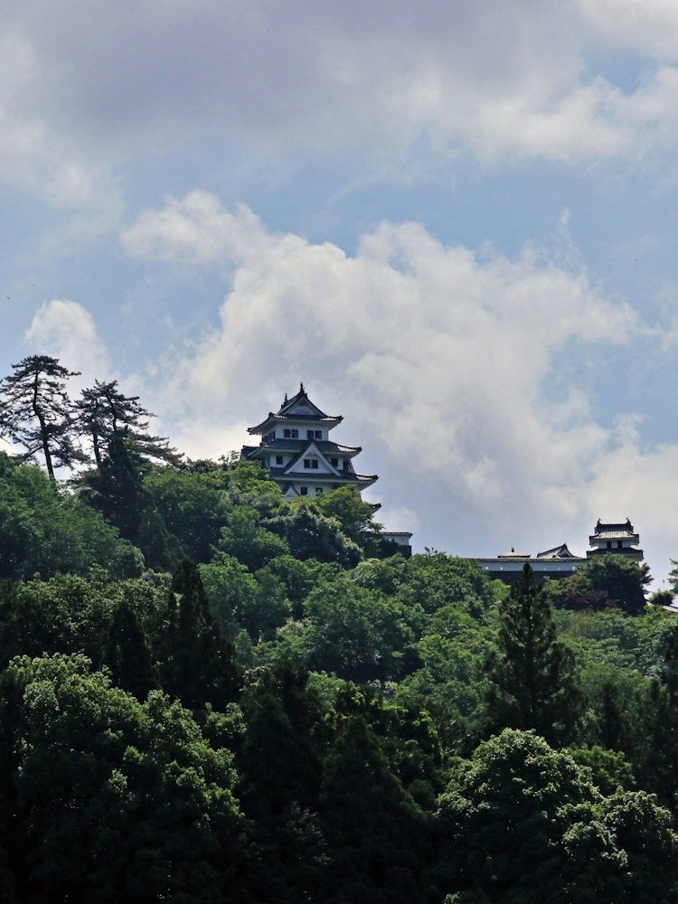 [Image1]I came to Gujo Hachiman Castle in Shinsho, Gujo Hachiman Castle is on top of a mountain, and it took
