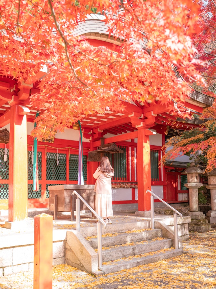 [Image1]📍 Nara / Rika ShrineA little-known shrine in the depths of Nara Park. The autumn leaves were in full