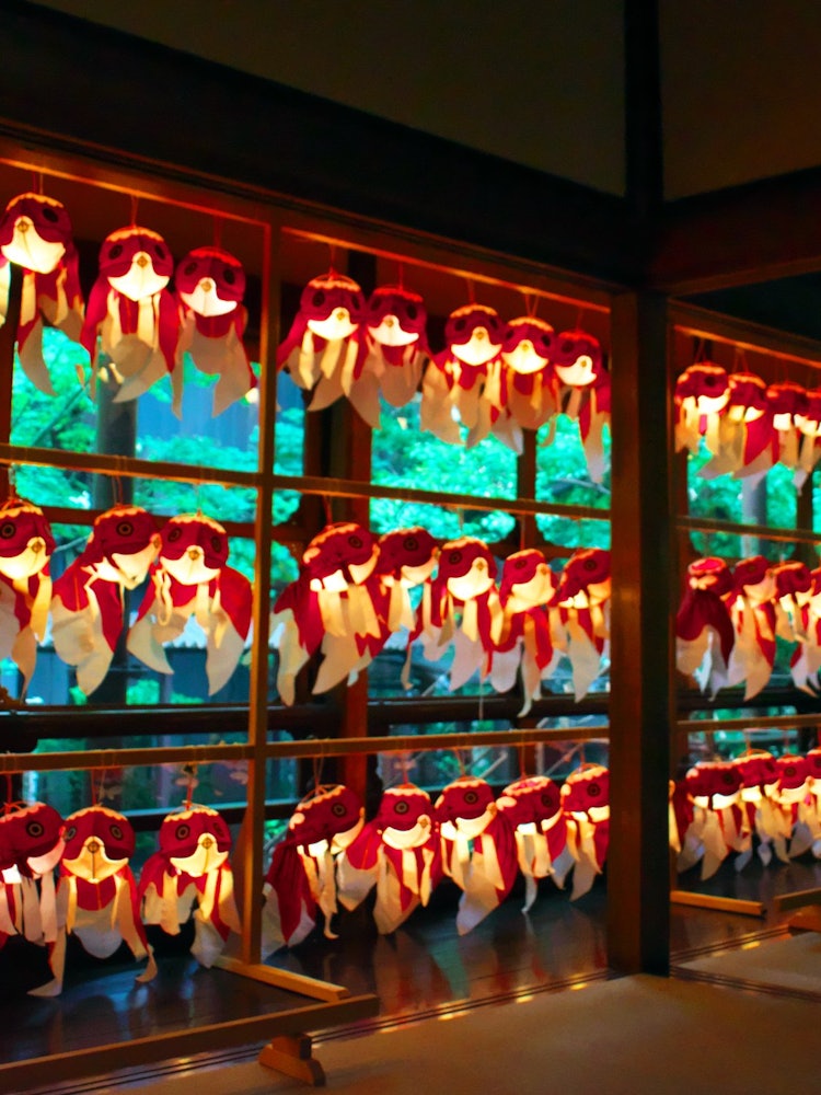 [Image1]Japanese lights @ Gajoen Tokyo The goldfish lanterns were very beautiful in the Japanese space.