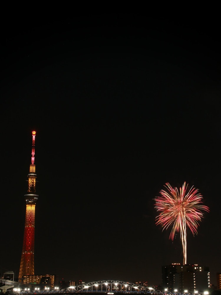 [相片1]当晴空塔看起来很漂亮时，Shioiri 公园是一个热门话题。这将是克服新冠病毒四年来的首次举行。无论取消多少次，将要复活的“凤凰”光芒下的天空树都闪闪发光。