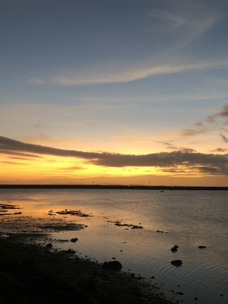 [相片1]我经常开车去塞纳加岛。 我拍这张照片是因为日落很美。 我记得夕阳的橙色光芒是如此强烈，令人眼花缭乱。