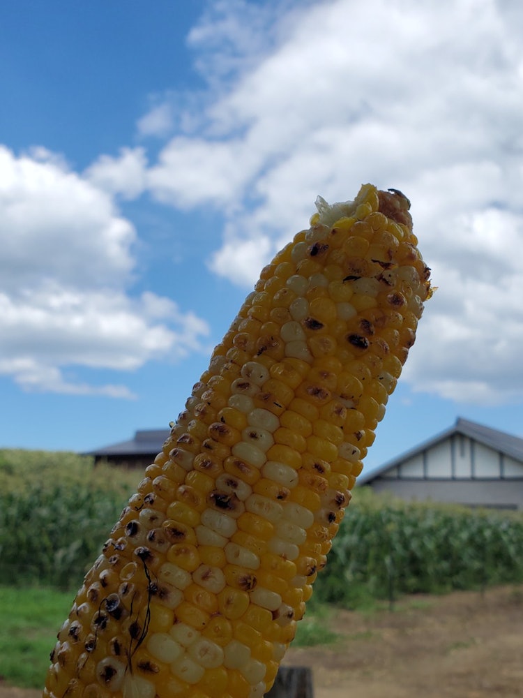 [Image1]Eat Shinanomachi corn, freshly picked, and freshly baked on the spot. Natural breeze is cool 🎵It was