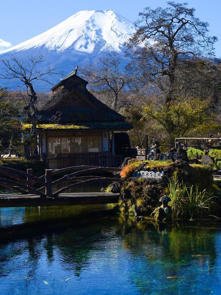 [相片1]忍野八海是富士五湖地区的独特景点，也是富士山世界遗产，拥有超清澈的蓝色水池。从那里您可以看到传统茅草屋顶建筑之间的富士山的壮丽景色，以及缓慢旋转的水车，这肯定会给您带来古老的魅力。另一个好处是这个地方