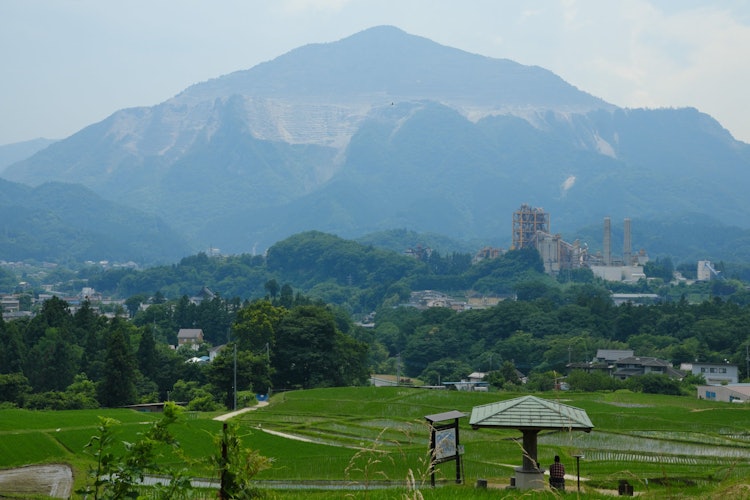 [画像1]横瀬町の棚田奥に見える工場と、削られた武甲山がなんとも不思議な感じ
