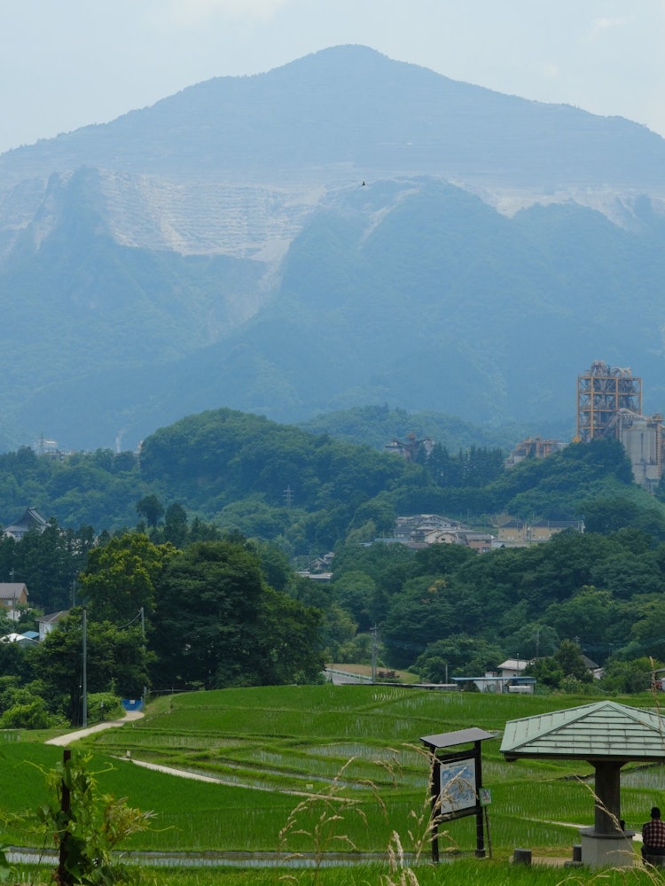[Image1]Terraced rice fields in YokoseThe factory in the back and the carved Mt. Muko are strange.