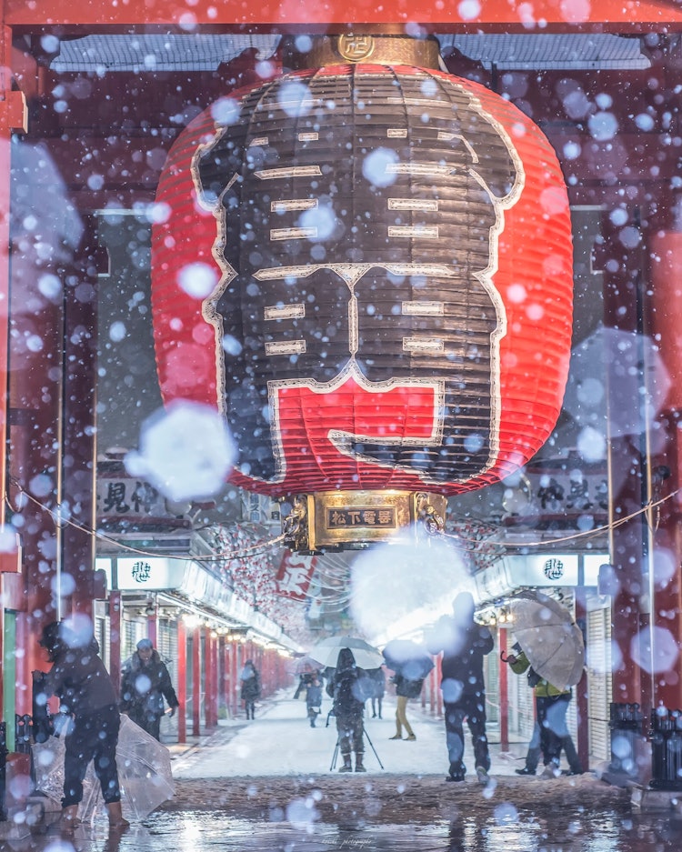 [画像1]雪と雷門。真冬の東京に雪が降る。