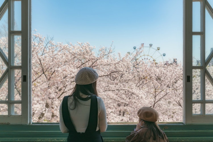 [相片1]兵庫縣神戶市王子動物園由於吸引大學的問題，有一個計劃突然拆除它，但由於社區一方的反對運動，不知何故我能夠看到這一幕。以前，我的父母經常帶我去這個地方，它也是我和妻子回憶的地方，現在我每年櫻花季節都會帶