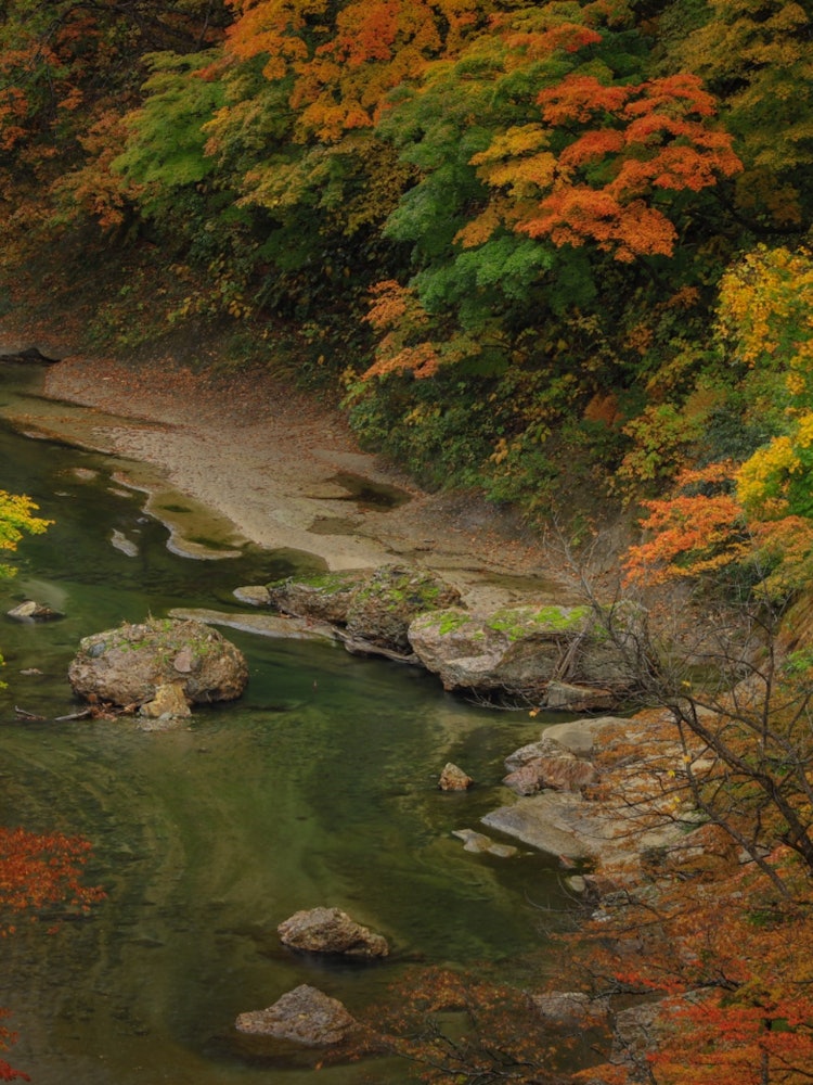 [Image1]This is the autumn foliage scenery of Koankyo in Yuzawa City, Akita Prefecture.This is a canyon form