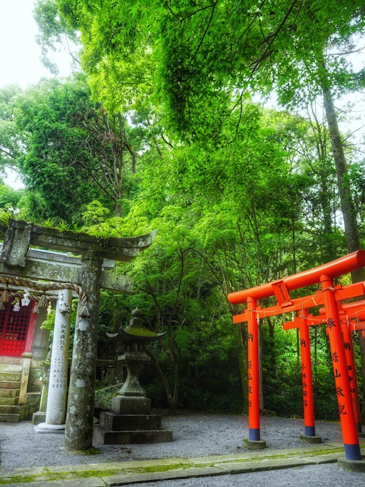 [画像1]長崎の諫早市にある高城神社の写真です。