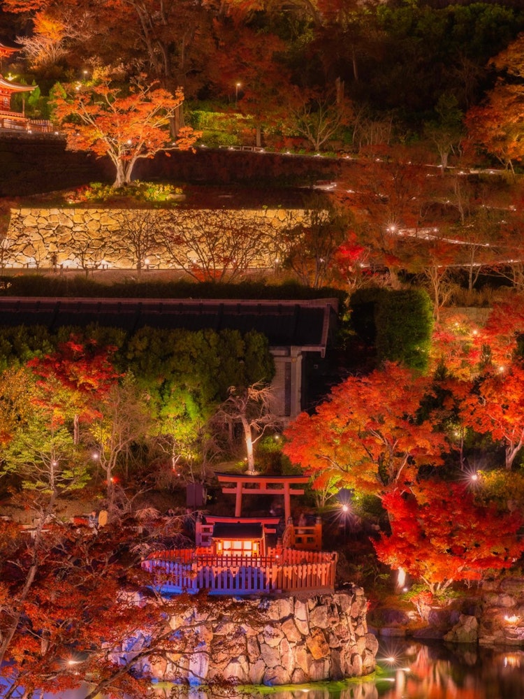 [Image1]Katsuoji Temple 😯 in Osaka Prefecture, famous for its winning dharmaIn autumn, the autumn leaves are