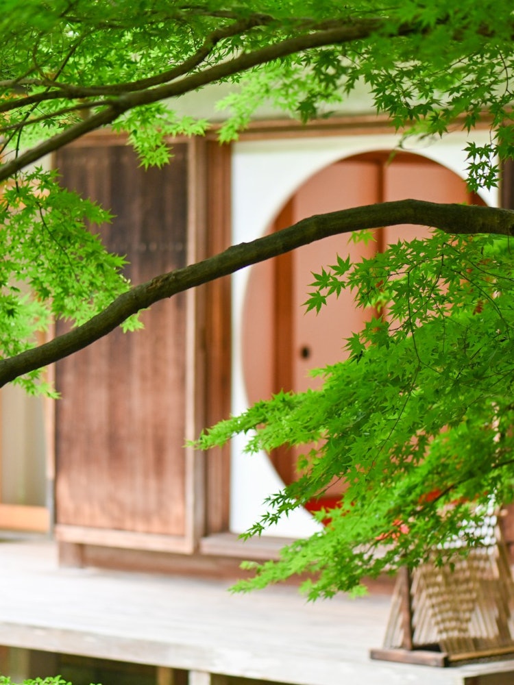 [相片1]北镰仓的明月院 这是从后院。秋叶的阴影治愈了炎热的日本的温度，除了清爽的感觉，您还可以看到正殿的外观。当电晕消退，你来到日本时，你为什么不期待从正殿前面拍摄圆窗的照片呢？