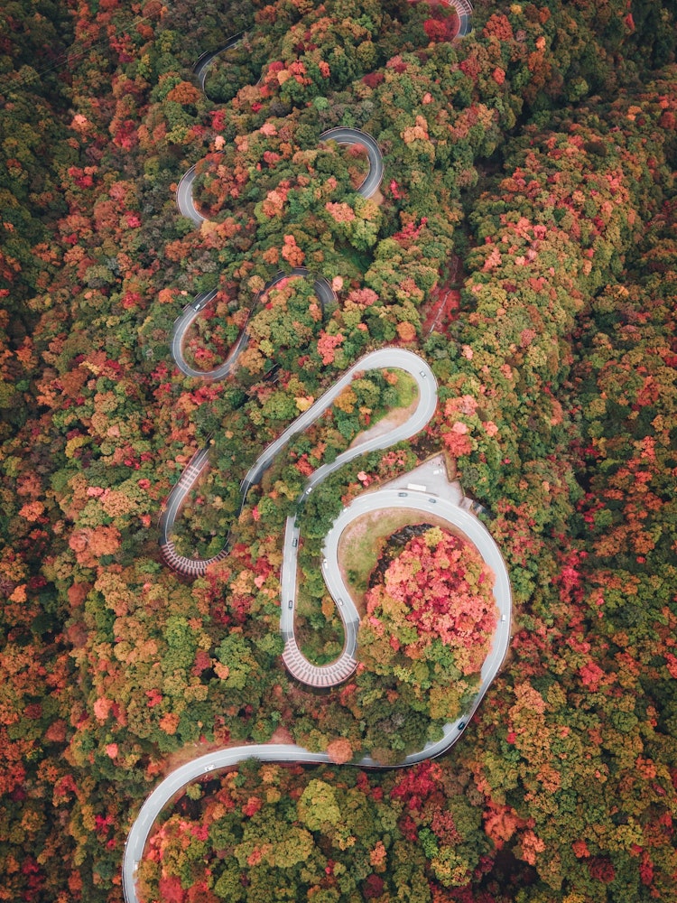 [相片1]從空中看，秋天的山脈呈現出完全不同的面貌。
