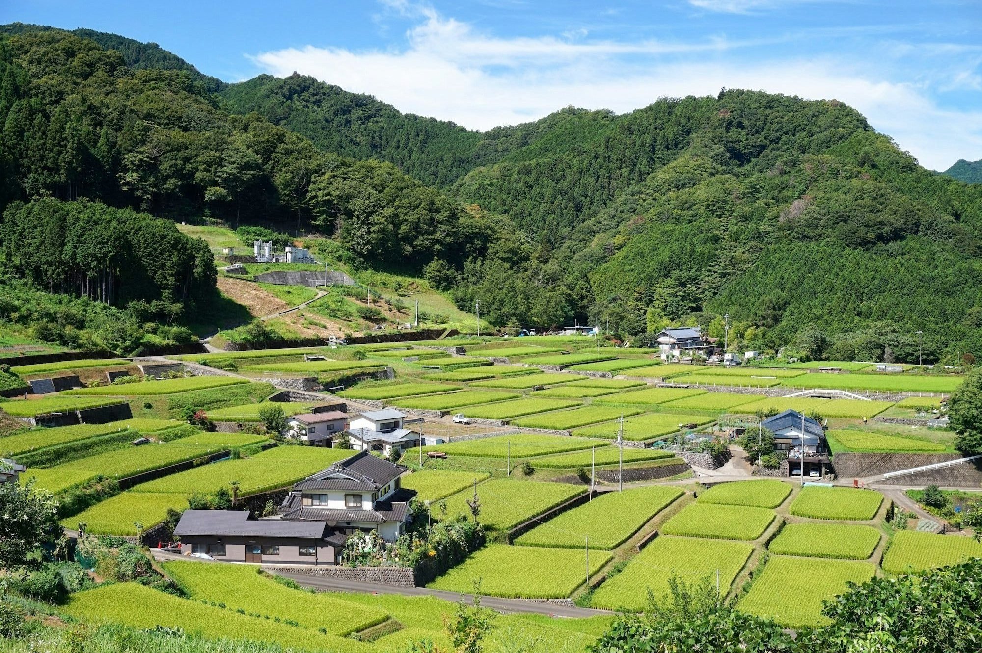 温泉（源泉） - クールジャパンビデオ｜日本の観光・旅行・グルメ・面白情報をまとめた動画キュレーションサイト「COOL JAPAN VIDEOS」