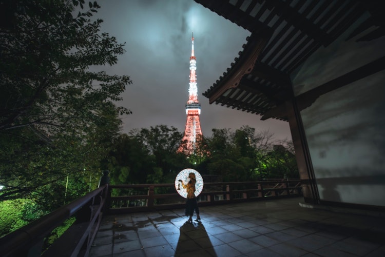 [画像1]夜の増上寺。幻想的な雰囲気に包まれ、昼間とは違った感覚を味わうことができます。