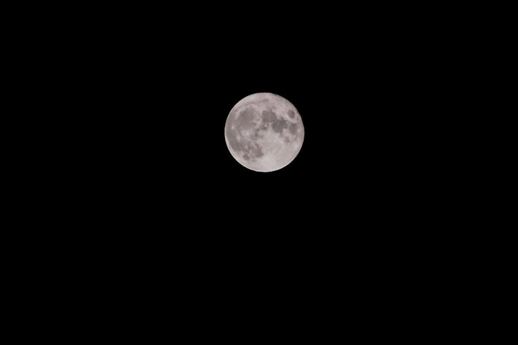 [相片1]收穫月亮 🌕