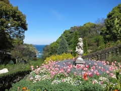 [Image2]ACAO FORESTA vast flower garden consisting of 13 unique theme gardens on a vast hilly area of 200,00
