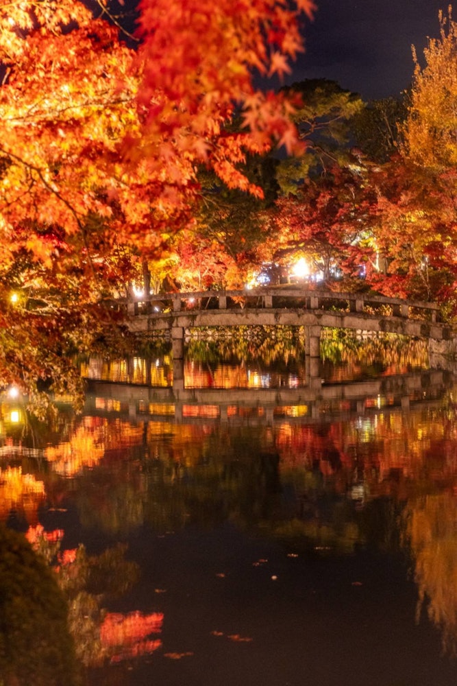 [Image1]Eikando Light up 🍁 in autumnThis is Eikando, Kyoto Prefecture.Speaking of Kyoto in autumn, it is 