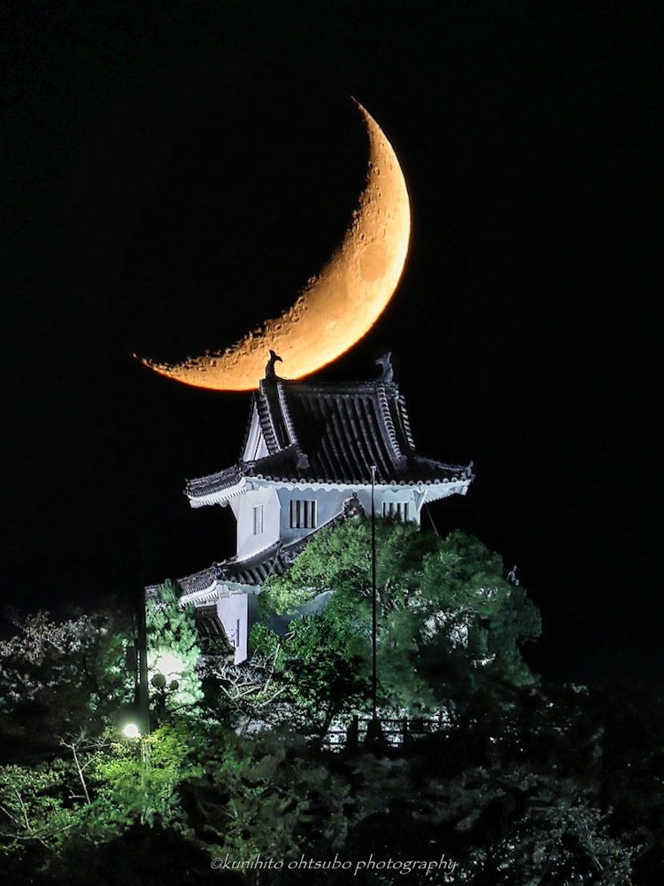 [Image1]「Crescent moon & Marugame Castle」location : 香川県丸亀市・丸亀城天守＊Illumination of Marugame Castle and a fanta