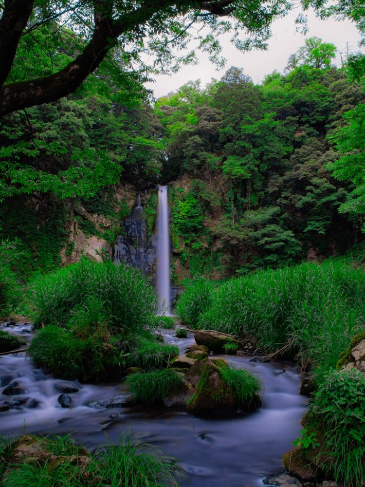 [Image1]Hattan-no-Falls near Kannabe Highlands, Hyogo PrefectureHere, the bottom of the waterfall is emerald
