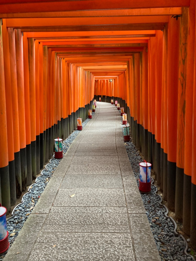 [相片1]京都伏见稻荷大社的千本鸟居（神社门）门 ⛩️⛩️⛩️游客不少，但这个时候正好可以📷✨拍到没人的照片那天天气不好，但我能够🥹拍下我想为未来保留的日本风景