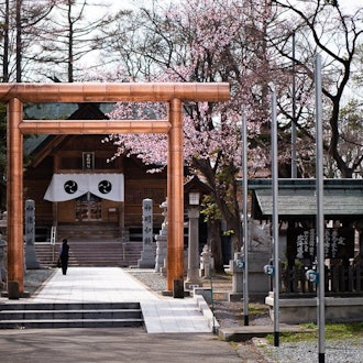 [Image1]Sorachi ShrineEven on a strong midsummer sun, this place is surrounded by trees and has a lot of sha