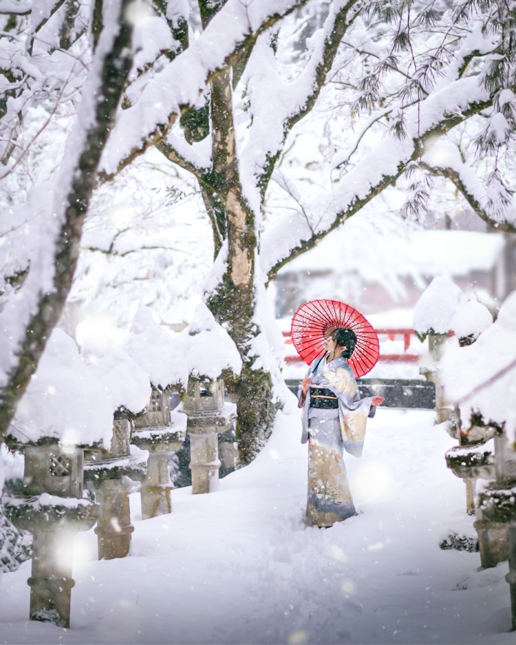 [画像1]兵庫県 瑠璃寺の雪景色#冬 #雪 #着物 #兵庫県 #絶景