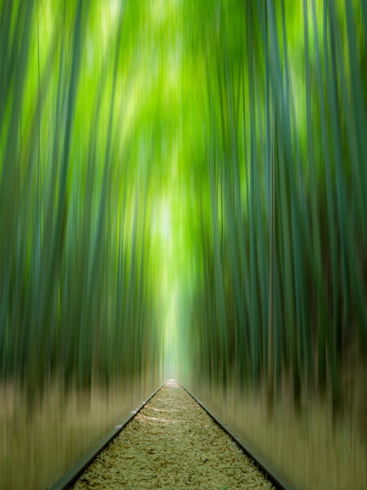 [이미지1]일본의 여름대나무 숲과 오래된 철도 트랙돗토리에 위치