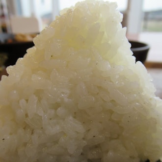 [Image1]Japanese rice balls