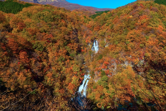 [画像1]日光霧降ノ滝の紅葉壮観な渓谷に落ちる霧降ノ滝