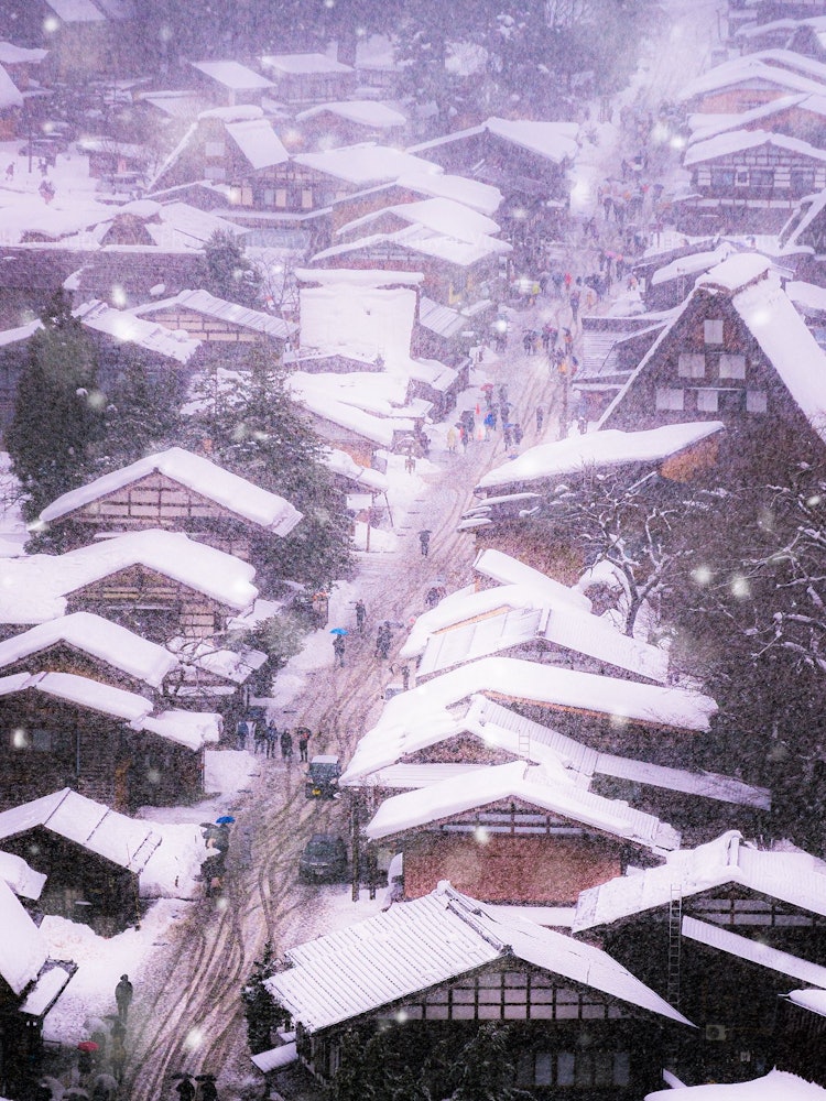 [Image1]Winter in JapanShirakawa-go during a snowstormGifu 2021/12/30