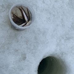 [相片2]網走觀光協會。今年，網走冬季傳統「日本胡瓜魚釣魚」也于1月7日星期六開始。根據網走湖的冰凍情況，它將持續到3月21日星期二。您還可以享受自己作為天婦羅捕獲的日本胡瓜魚。 （需額外付費）套餐價格：成人1