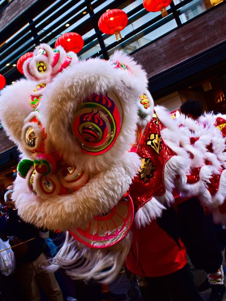 [Image1]Famous Dragon Dance during Chinese New Year Festival at Yokohama's famous China Town. The dragon dan