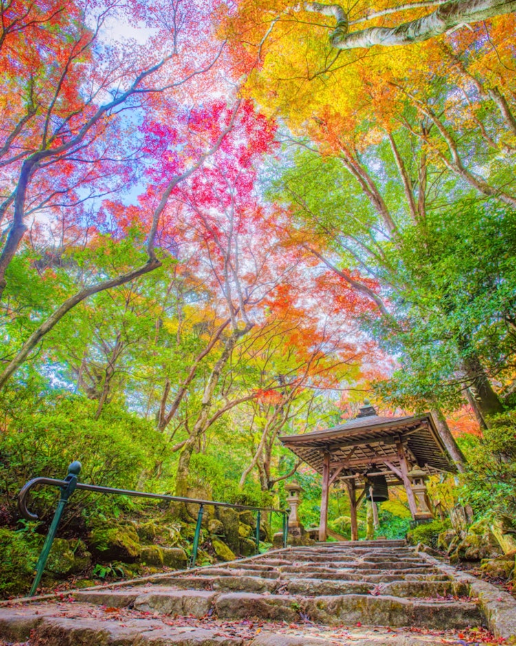 [이미지1]Mitakiji Temple, 히로시마(히로시마의 추천 명소)#미타키지 사원 👈　　　　미타키지에서 내놓는 것을 잊은 단풍 🍁 한 장 📸😊 단풍이 아름다울 때 가기 좋았습니다.