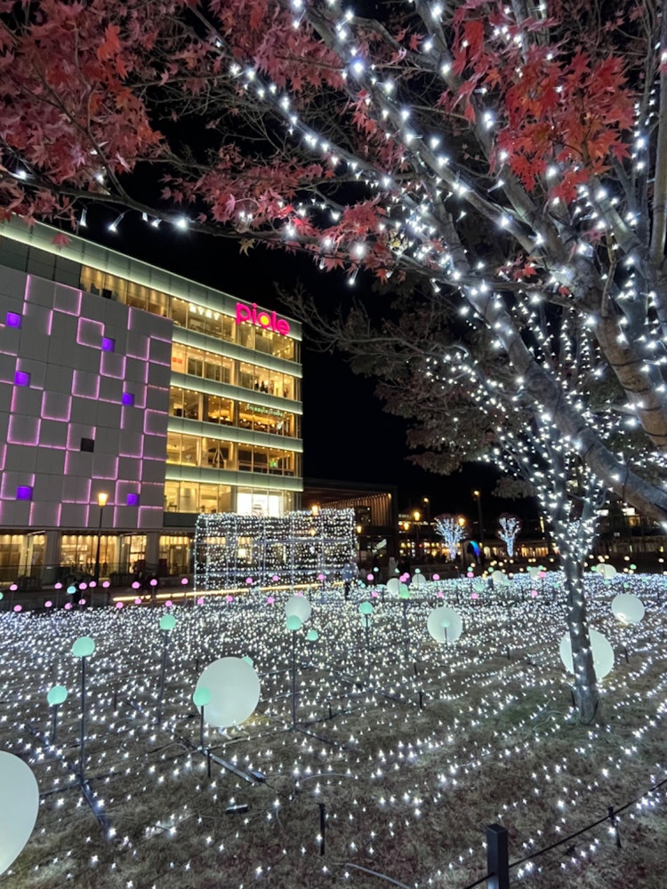 [画像1]『Link More HIMEJI』2023.11.30 pm9:03 兵庫県姫路市駅前で撮影。 姫路駅前にある商業施設「ピオレ姫路」のライトアップショーを見てきました。 壁面のイルミネーションが鮮や